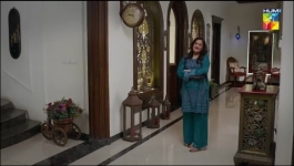 Hadd - Episode 37 - 29th April 2026